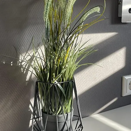 Hausboot Vroni Am Baerwaldersee *